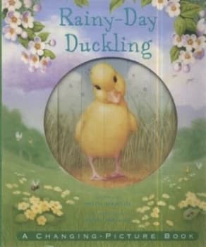 Rainy-Day Duckling by Ruth Martin Hardback