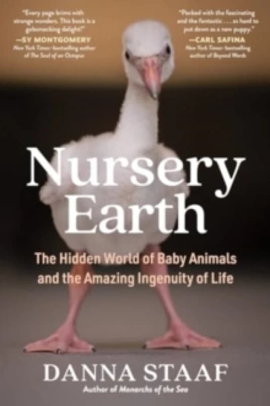 Nursery Earth : The Hidden World of Baby Animals and the Amazing Ingenuity of Life Paperback / softback