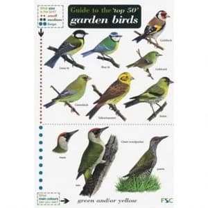 Guide to the Top 50 Garden Birds by Edward Jackson, Andy Simms (2010, Paperback)