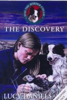 The Discovery by Lucy Daniels Paperback
