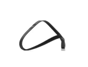 RIDEX PLUS V-ribbed belt VW,AUDI,BMW 305P0425P 55193366,551933660,04E145933AG 04E145933AL,04E145933P,04E145933R,11287618848,7618848,51761849,55193366