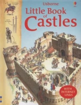 Usborne Little Book of Castles by Lesley Sims and Dominic Groebner and Anne Millard and Jane Chisholm and David Cuzik and Ian Jackson and Justine Toro
