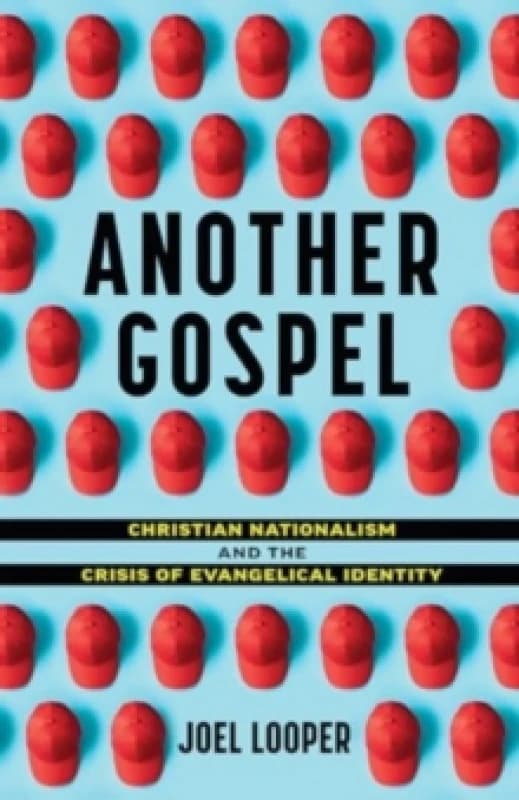 Another Gospel. Paperback. By Joel Looper Books
