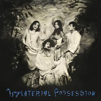 Immaterial Possession - Immaterial Possession Vinyl