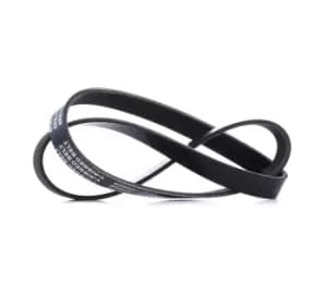 RIDEX V-ribbed belt VW,AUDI,BMW 305P0130 038903137N,06J260849F,11287841529 5720E2,5750A0,5750E2,5750J4,5750M4,5750M5,5750TF,96152088,96152089,60813505