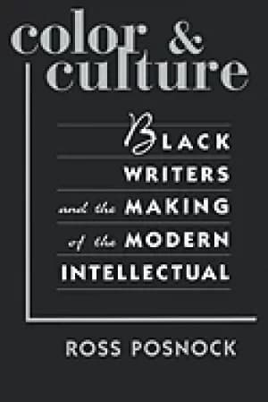 color and culture Black writers and the making of the modern intellectual