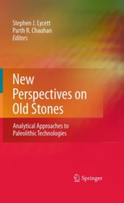 New Perspectives on Old Stones : Analytical Approaches to Paleolithic Technologies Hardback