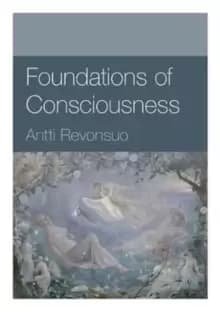 Foundations of Consciousness