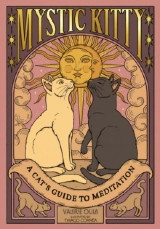 Mystic Kitty : A Cat's Guide to Meditation Hardback