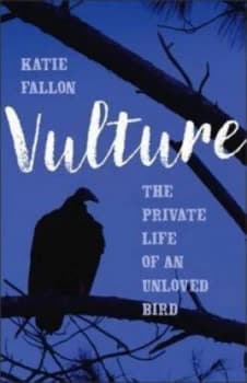 Vulture by Katie Fallon Hardback