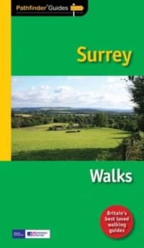 Surrey by Deborah King Book
