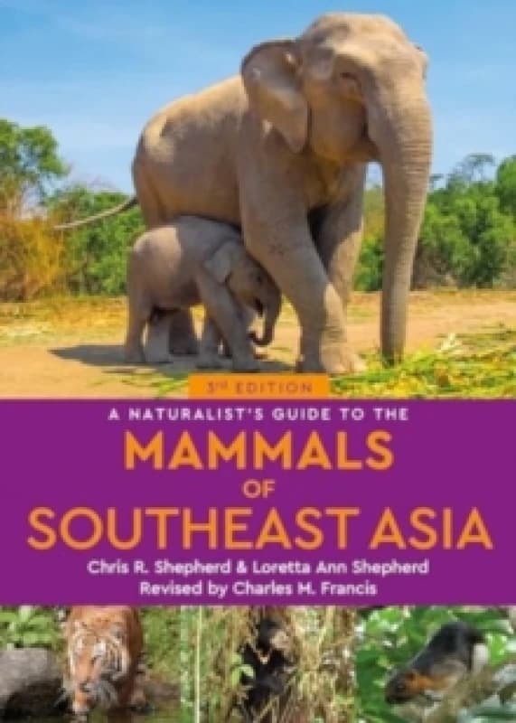 A Naturalist's Guide to the Mammals of Southeast Asia Paperback / softback