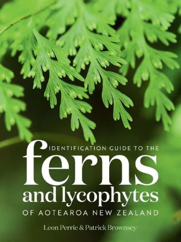 Identification Guide to the Ferns and Lycophytes of Aotearoa NZ Paperback / softback