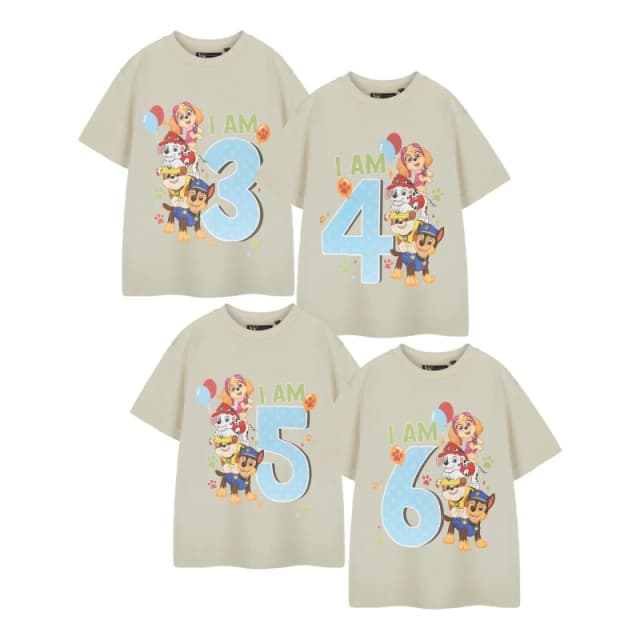 Paw Patrol Short Sleeved T-Shirt Beige male