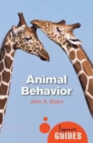 animal behaviour