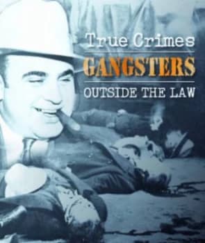 Gangsters Outside the Law by Michael Newton Book