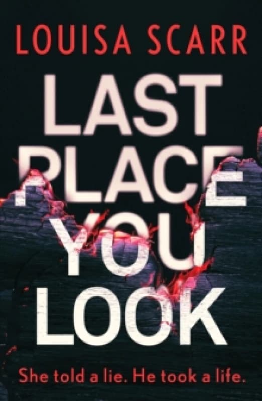 Last Place You Look : A gripping police procedural crime thriller Paperback / softback