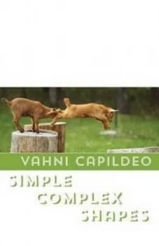 Simple Complex Shapes by Vahni Capildeo Book