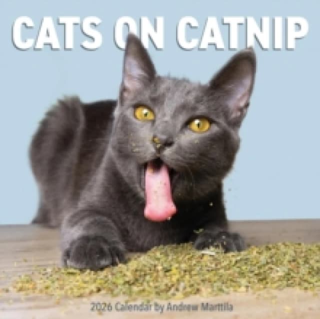 Cats on Catnip Wall Calendar 2026 Calendar