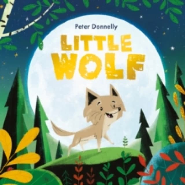 Little Wolf Paperback / softback