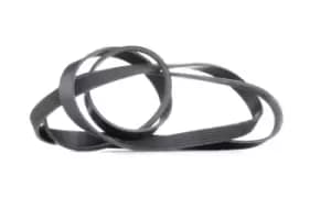RIDEX V-ribbed belt MERCEDES-BENZ,OPEL,CHRYSLER 305P0102 5097758AA,XR82811,0029933096 0039937396,0119978792,0119979742,0119979792,0129973692,1340283