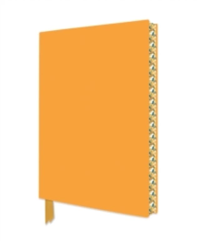 Sunrise Gold Artisan Notebook (Flame Tree Journals) Notebook / blank book