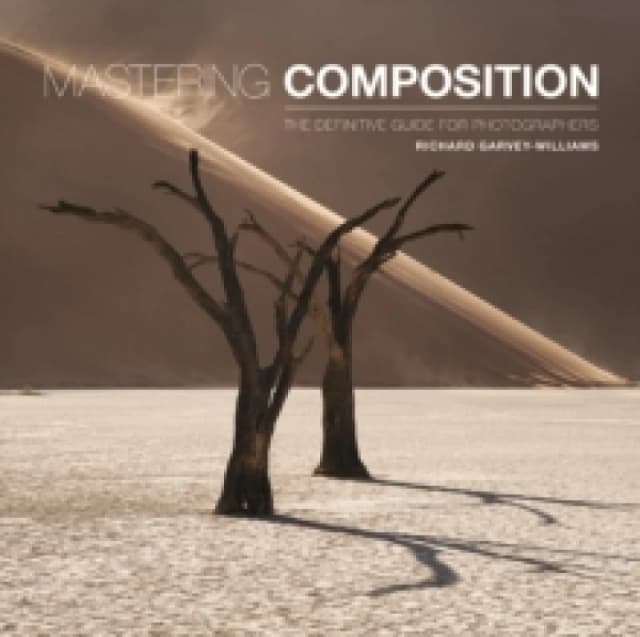 Mastering Composition : The Definitive Guide for Photographers Paperback / softback