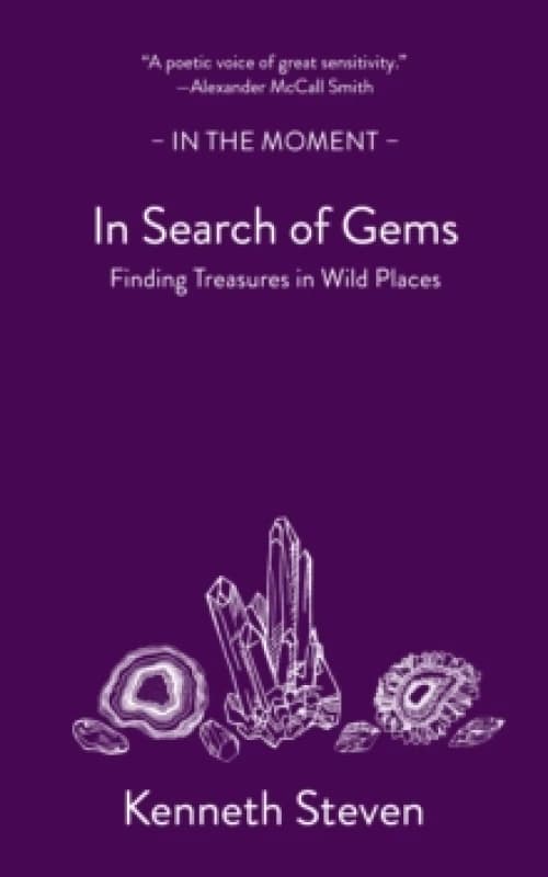 In Search of Gems : Finding Treasures in Wild Places Paperback / softback