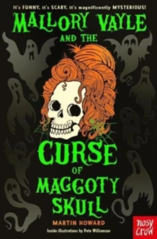Mallory Vayle and the Curse of Maggoty Skull Paperback / softback