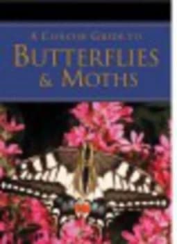 A Concise Guide to Butterflies and Moths by Elizabeth Balmer Paperback