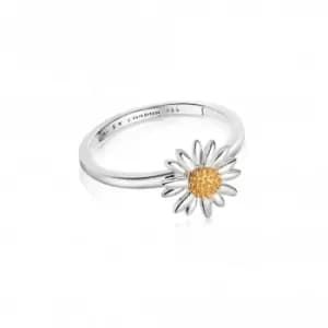 English Daisy Silver Ring SR512
