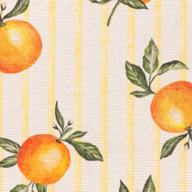 Furn. Fruits Oranges Gingham Check Indoor/outdoor Rug