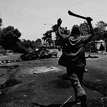 Offerbeest - Afrika CD