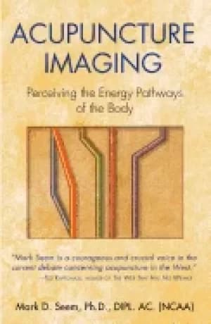 acupuncture imaging perceiving the energy pathways of the body