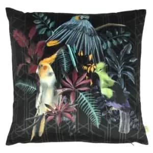 Zinara Birds Cushion Black