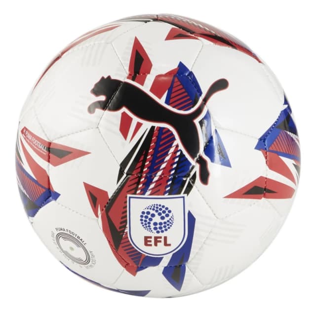 Puma Orbita 6 EFL Mini Football 2024 2025 - White White Mini