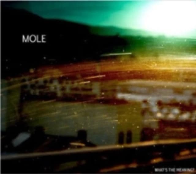 Mole - What's the Meaning? (Music CD) Music CDs - Music CD