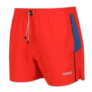 Regatta Rehere Swim Shorts - Red