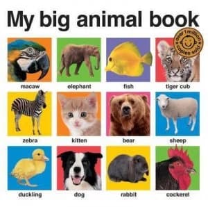 My Big Animal Book by Roger Priddy Hardback