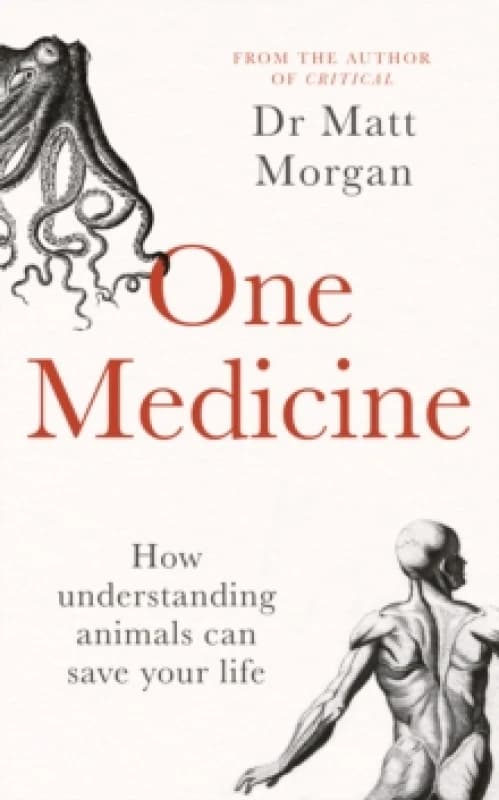 One Medicine : How understanding animals can save our lives Hardback