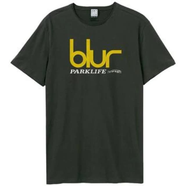 Amplified Amplified Men Parklife Blur T-Shirt in Charcoal Size: X-Small Charcoal XS Male 5063377084986