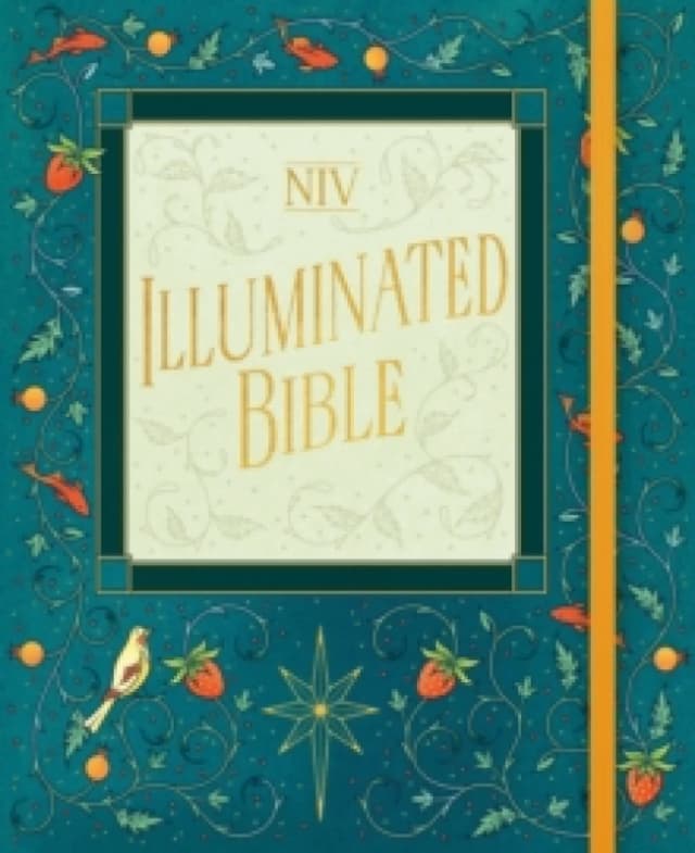 NIV Illuminated Bible Hardback
