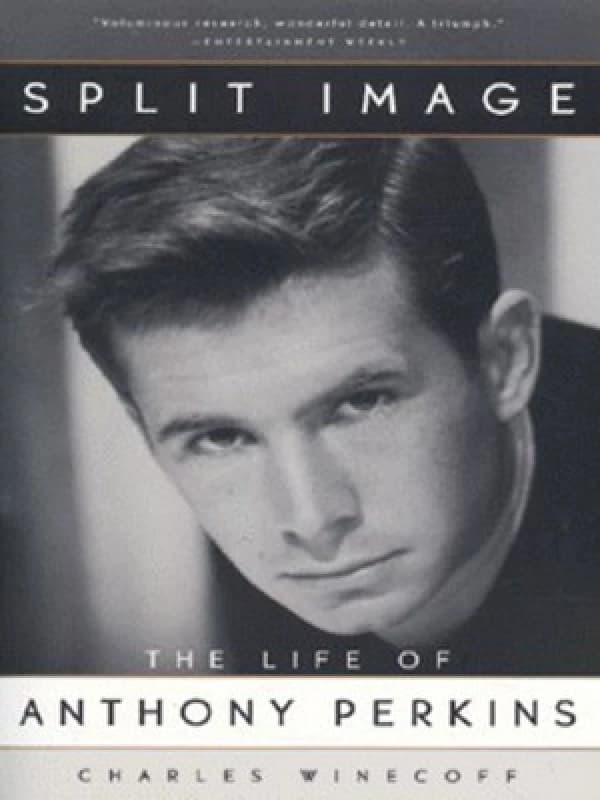 Split Image by Charles Winecoff Paperback