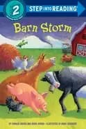 barn storm