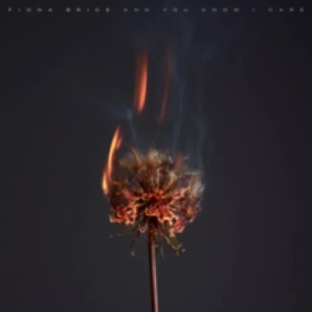 Fiona Brice: And You Know I Care CD / Album