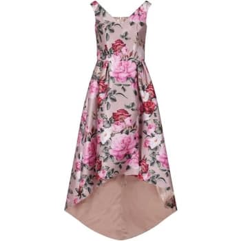 Chi Chi Chi Chi Kaytlyn Dress - MINK