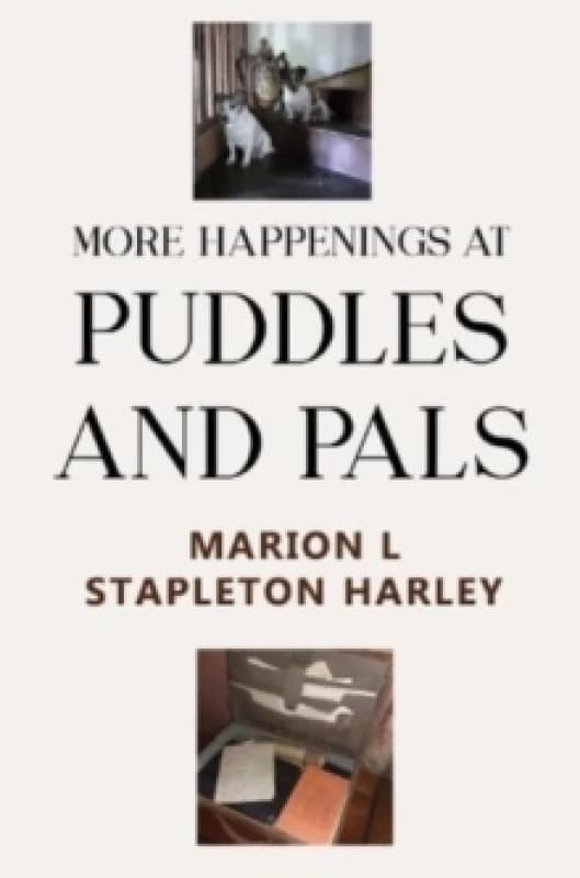 More Happenings at PUDDLES AND PALS Paperback / softback