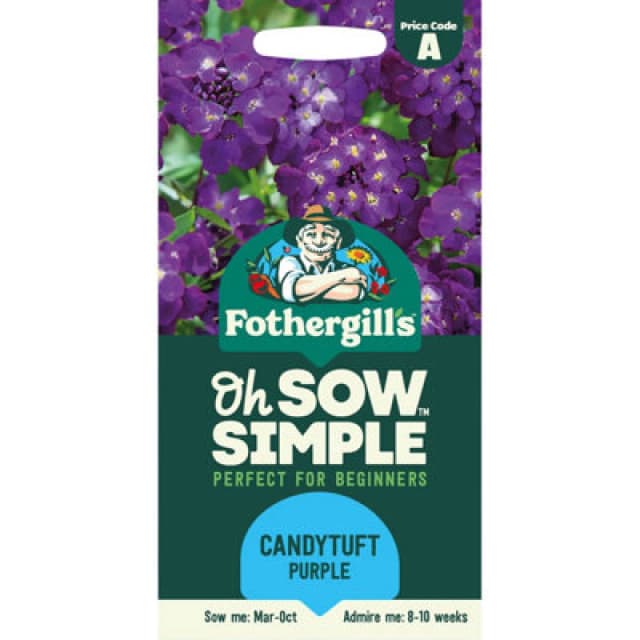 Mr Fothergills Purple Candytuft Flower Seeds