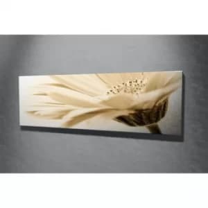 PC003 Multicolor Decorative Canvas Painting