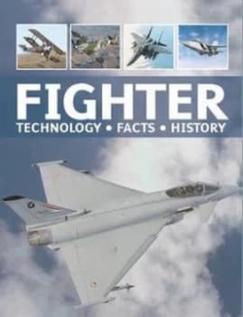 Fighter by Ralf Leinburger Paperback